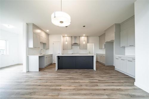 35 Chimney Swift Way, St Adolphe, MB - Indoor Photo Showing Kitchen