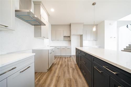 35 Chimney Swift Way, St Adolphe, MB - Indoor Photo Showing Kitchen