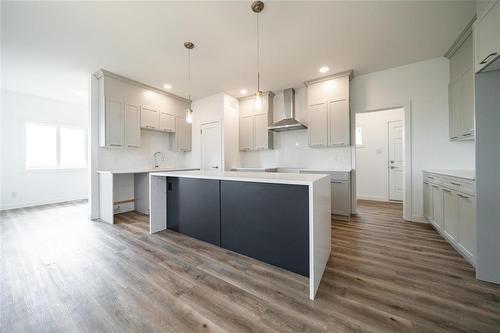35 Chimney Swift Way, St Adolphe, MB - Indoor Photo Showing Kitchen With Upgraded Kitchen