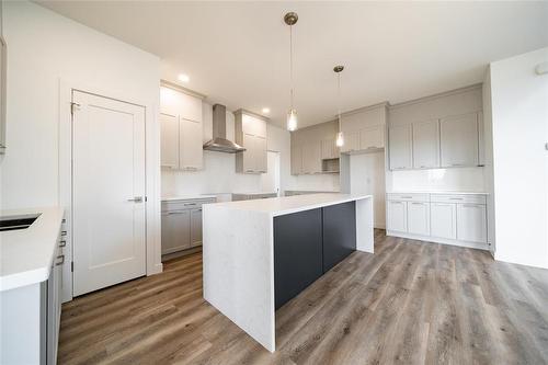 35 Chimney Swift Way, St Adolphe, MB - Indoor Photo Showing Kitchen With Upgraded Kitchen