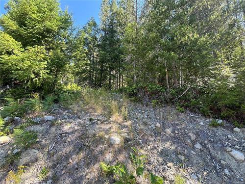 521 Cala Crt, Gold River, BC 