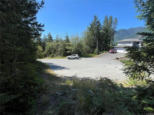 521 Cala Crt, Gold River, BC 