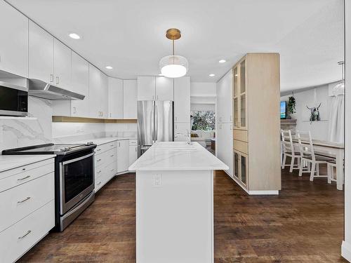 445 Dufferin Terrace, Kamloops, BC - Indoor Photo Showing Kitchen With Upgraded Kitchen