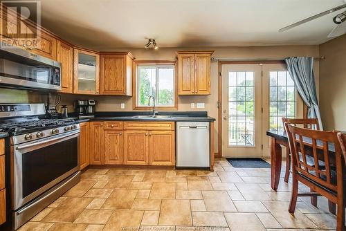 229 Gignac Crescent, Lasalle, ON - Indoor Photo Showing Kitchen With Double Sink