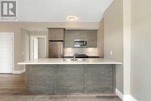 955 Ouellette Avenue Unit# 301, Windsor, ON - Indoor Photo Showing Kitchen With Double Sink With Upgraded Kitchen