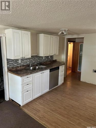 2355 Francis Street, Regina, SK - Indoor Photo Showing Kitchen With Double Sink