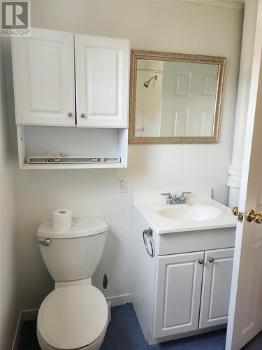 17 Mcfarlane Street, St. John'S, NL - Indoor Photo Showing Bathroom