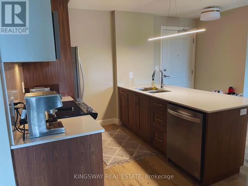 210 - 34 Norman Street, Brantford, ON - Indoor Photo Showing Kitchen With Double Sink