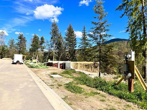 461 Copper Road, Rossland, BC - Outdoor