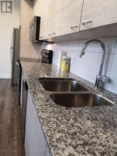 210 - 253 Albert Street S, Waterloo, ON - Indoor Photo Showing Kitchen With Double Sink With Upgraded Kitchen