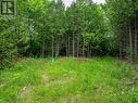 Lot 31 8Th Concession B, Grey Highlands, ON 