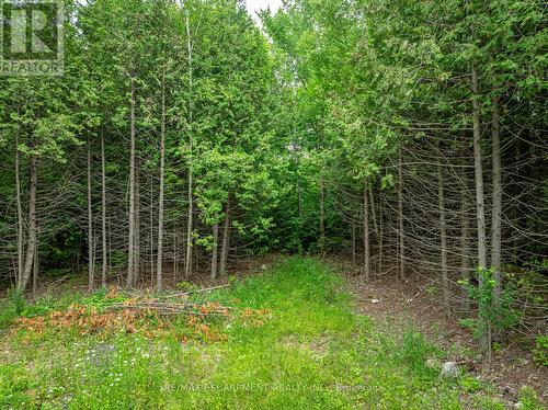 Lot 31 8Th Concession B, Grey Highlands, ON 