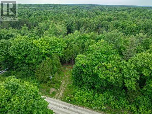 Lot 31 8Th Concession B, Grey Highlands, ON 