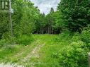 Lot 31 8Th Concession B, Grey Highlands, ON 