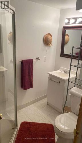 39 Rainbow Court, Georgina (Keswick South), ON - Indoor Photo Showing Bathroom