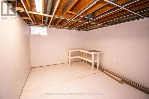 381 Vancouver Crescent, Oshawa, ON - Indoor Photo Showing Basement