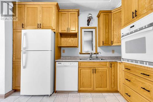 186 St Julien Street, London, ON - Indoor Photo Showing Kitchen With Double Sink