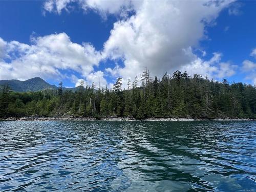 Lot 1 Plumper Harbour, Nootka Island, BC 