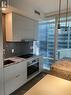 1104 - 1 Bloor Street E, Toronto, ON  - Indoor Photo Showing Kitchen With Upgraded Kitchen 