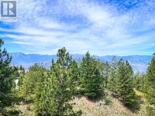 360 Mule Deer Drive, Osoyoos, BC - Outdoor With View