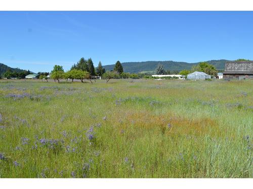 5390 Almond Gardens Road, Grand Forks, BC - Outdoor With View