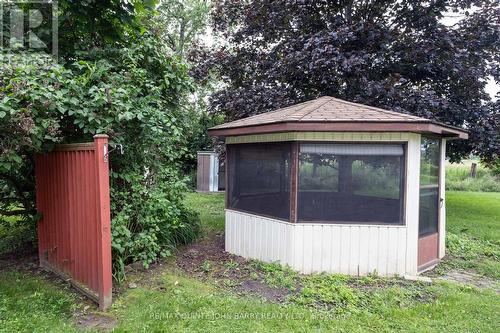 28 Walter Avenue, Quinte West, ON - Outdoor With Backyard