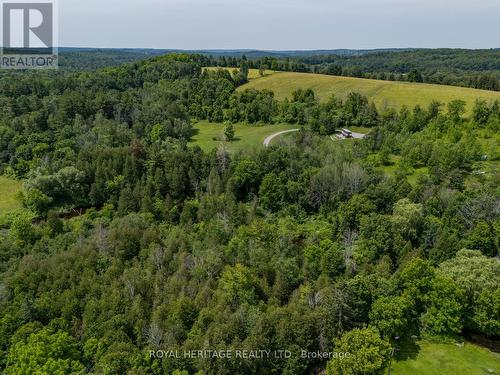 13529 County Rd 24 Road, Trent Hills, ON - Outdoor With View