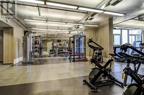 1703 - 20 Bruyeres Mews, Toronto, ON - Indoor Photo Showing Gym Room