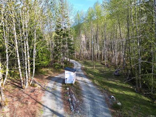 Lot-B Cowichan Lake Rd, Lake Cowichan, BC 