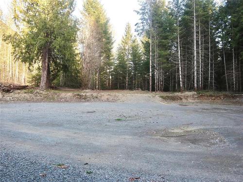 Lot-B Cowichan Lake Rd, Lake Cowichan, BC 