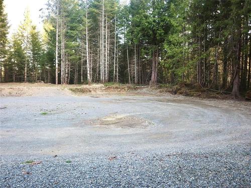 Lot-B Cowichan Lake Rd, Lake Cowichan, BC 