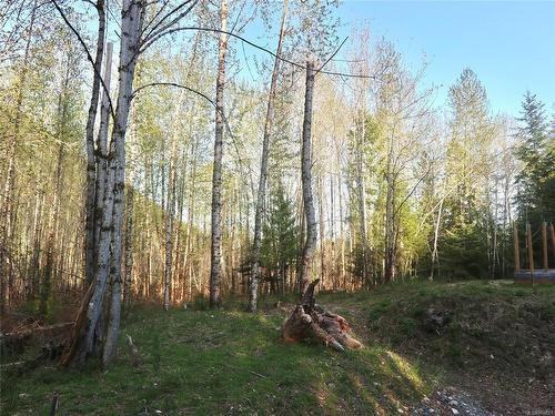 Lot-B Cowichan Lake Rd, Lake Cowichan, BC 