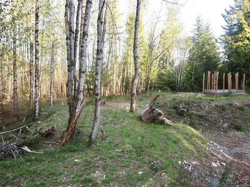 Lot-B Cowichan Lake Rd, Lake Cowichan, BC 