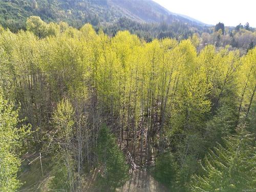 Lot-B Cowichan Lake Rd, Lake Cowichan, BC 