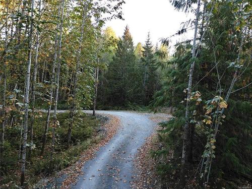 Lot-B Cowichan Lake Rd, Lake Cowichan, BC 