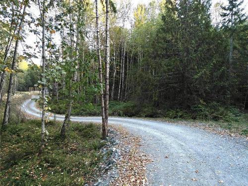 Lot-B Cowichan Lake Rd, Lake Cowichan, BC 