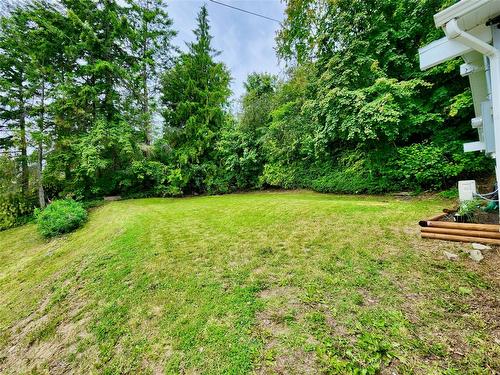 3027 Squilax Anglemont Road, Lee Creek, BC - Outdoor