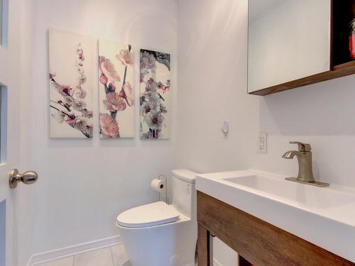 Salle d'eau - 47 Rue De Normandie, Saint-Basile-Le-Grand, QC - Indoor Photo Showing Bathroom