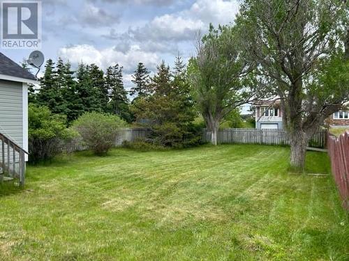 1 Youngs Lane, Stephenville Crossing, NL - Outdoor With Backyard