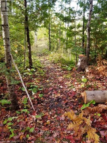 20 Pine Forest Drive, Northern Bruce Peninsula, ON 