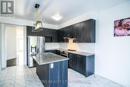 112 Queen Mary Boulevard, Hamilton, ON - Indoor Photo Showing Kitchen With Stainless Steel Kitchen With Double Sink With Upgraded Kitchen