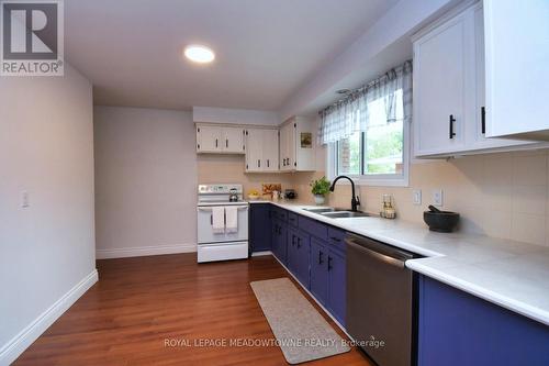 11 Buckingham Street, Brantford, ON - Indoor Photo Showing Kitchen With Double Sink