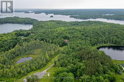 3142 Hwy 118 Road W, Muskoka Lakes, ON - Outdoor With Body Of Water With View