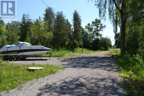 1391 Portage Road, Kawartha Lakes, ON - Outdoor