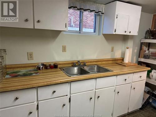 1843 Alexis Road, Windsor, ON - Indoor Photo Showing Kitchen With Double Sink