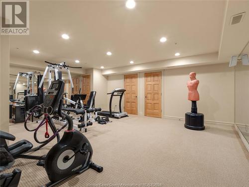 318 Crystal Bay Drive, Amherstburg, ON - Indoor Photo Showing Gym Room