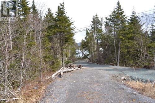 233 Old Cabot Highway Unit#Lot 2, Bellevue Beach, NL 