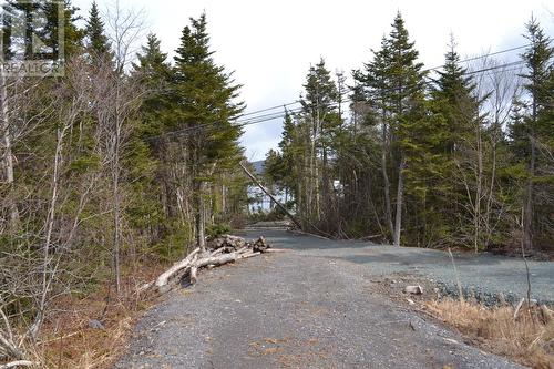 233 Old Cabot Highway Unit#Lot 4, Bellevue Beach, NL 