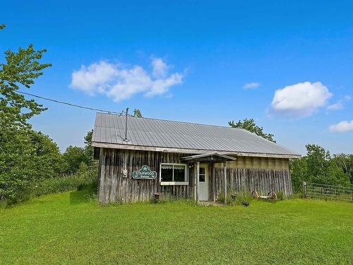 2489 Coxheath Road, Sydney Forks, NS 