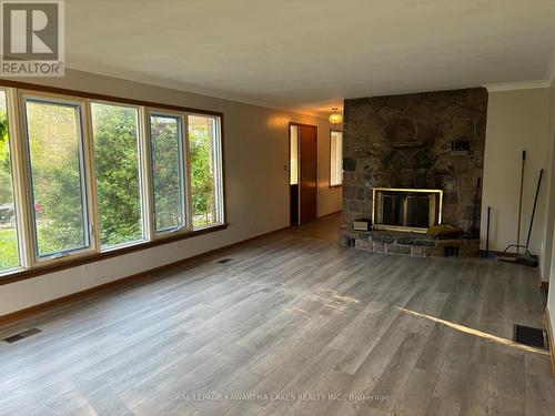 36 Cove Road, Kawartha Lakes, ON - Indoor Photo Showing Living Room With Fireplace
